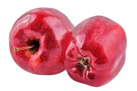 Two red apple isolated on white background Stock Photos
