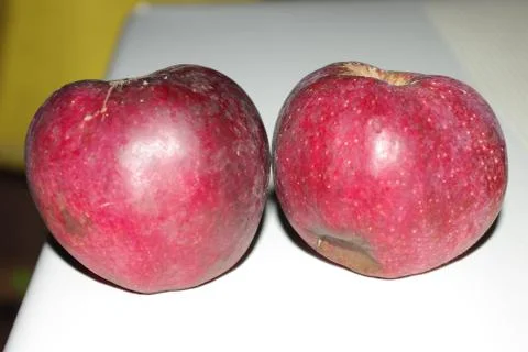 Two red apples 스톡 사진