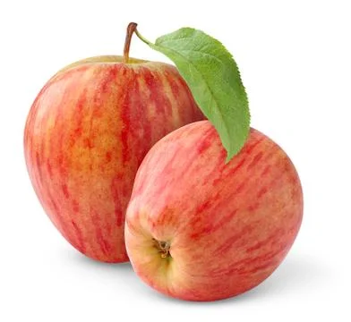 Two red apples Stock Photos