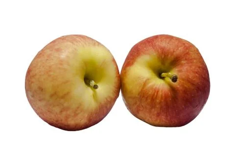 Two red apples on a white background. Stock Photos