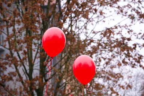 Two red balloons against the background of autumn trees. Stock Photos