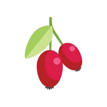 Two red berries hanging from branch with green leaf Stock Illustration