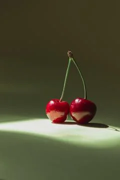 Two red berries stand under the sun with copy space. Stock Photos