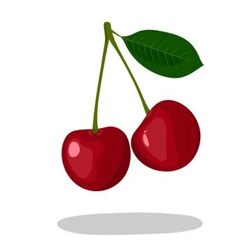 Two red berry cherry with leaf. Vector illustration Stock Illustration