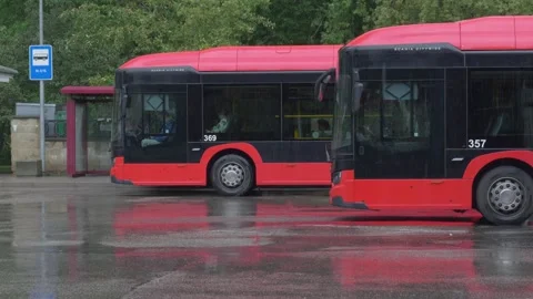 Two red buses waiting at the bus station during rain Stock Footage 250007656