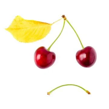 Two red cherries with a yellow leaf on a white background. The concept of sor Stock Photos