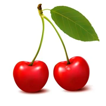 Two red cherry berries with leaf. vector. Stock Illustration