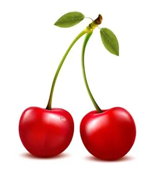 Two red cherry berries with leaf. vector. Stock Illustration