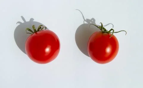 Two red cherry tomatoes with green stalks and tough shadow on a white background Stock Photos