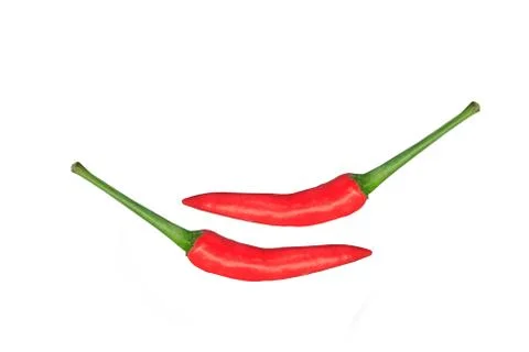 Two red chili Stock Photos