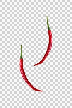 Two Red Chilies Floating on Transparent Background Stock Photos