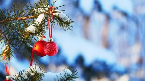 Two Red Christmas Balls decorations hanging on snow covered pine tree branch Stock Footage 121392145