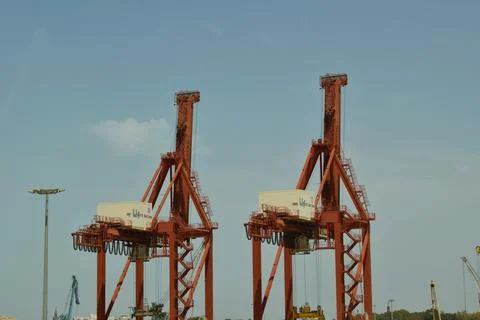 Two red cranes Stock Photos