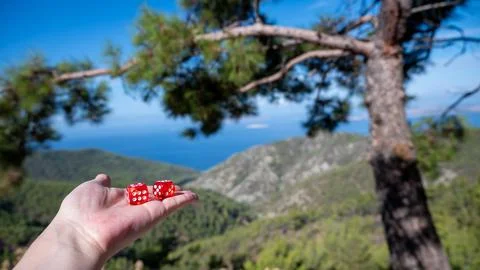 Two red dice is held in a woman's hand, set against the backdrop of a pine tree Stock Photos