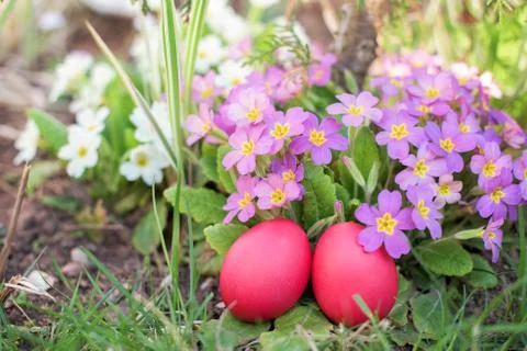 Two red Easter eggs in a garden Stock Photos