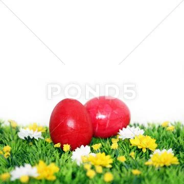 Two red eastereggs Stock Photos