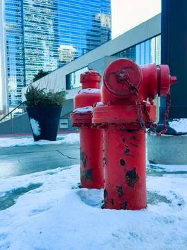 Two red fire hydrants are placed in snow next to a tall building downtown. Th Stock Photos