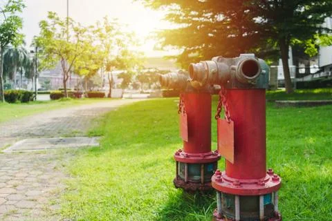 Two red fire hydrants in the lawn Stock Photos