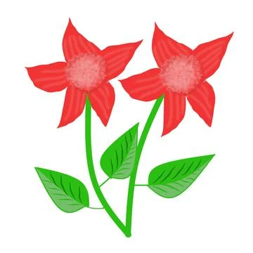Two red flowers Stock Illustration