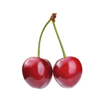 Two red fresh cherry close up on white Stock Photos