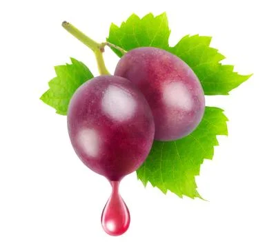 Two red grapes with a drop of juice or wine isolated on white background Stock Illustration