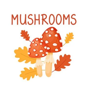 Two red grebes on the background of autumn leaves are isolated on a white b.. Stock Illustration