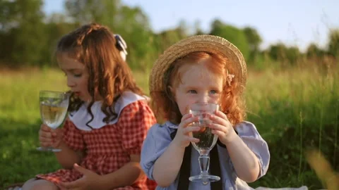 Two red-haired sisters on a picnic Stock Footage 218299436
