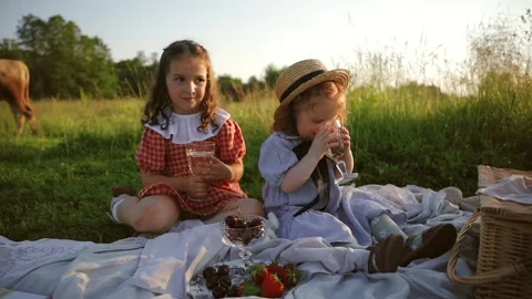 Two red-haired sisters on a picnic Video stock 218299465