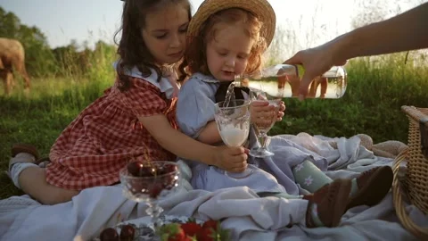 Two red-haired sisters on a picnic Stock Footage 218299715