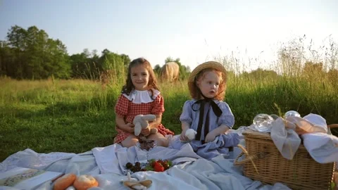 Two red-haired sisters on a picnic Stock Footage 218299769