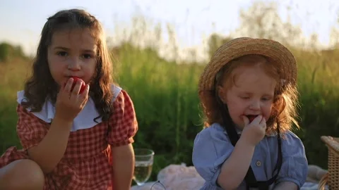 Two red-haired sisters on a picnic Video stock 218299792
