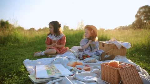 Two red-haired sisters on a picnic Video stock 218300522