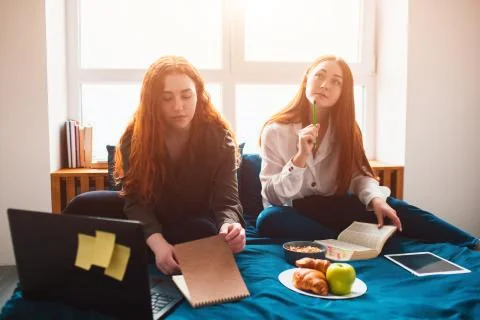 Two red-haired students study at home or prepare for exams. Young women doing Foto stock