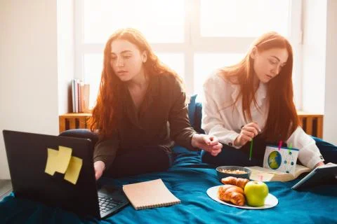 Two red-haired students study at home or prepare for exams. Young women doing Stock Photos