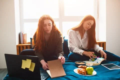 Two red-haired students study at home or prepare for exams. Young women doing Stock Photos