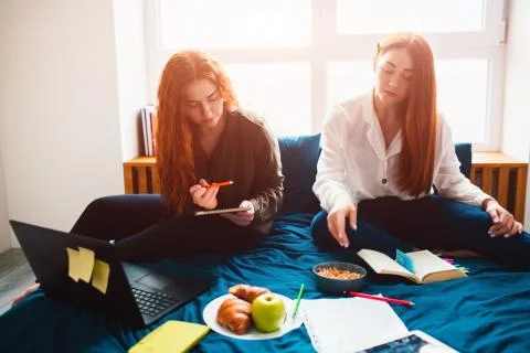 Two red-haired students study at home or prepare for exams. Young women doing Stock Photos