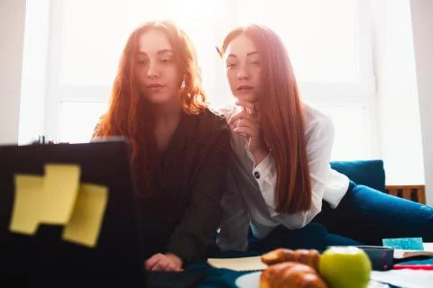 Two red-haired students study at home or prepare for exams. Young women doing Stock Photos