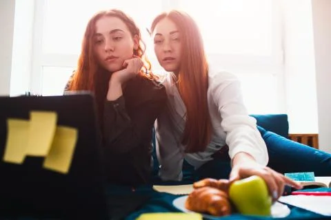 Two red-haired students study at home or prepare for exams. Young women doing Stock Photos