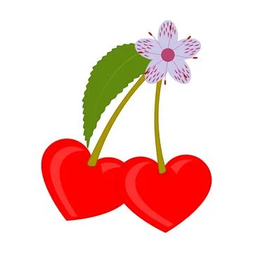 Two red hearts in shape cherry berries with a blossom flower and a green leaf. Illustrazione stock
