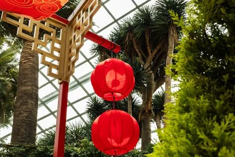 Two red lanterns are suspended from a decorative structure in a garden. Lus.. Stock Photos