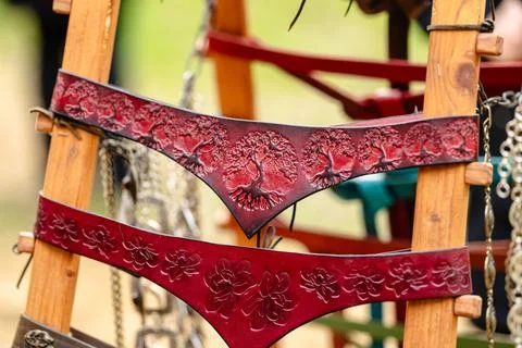 Two red leather belts with tree designs on them Stock Photos