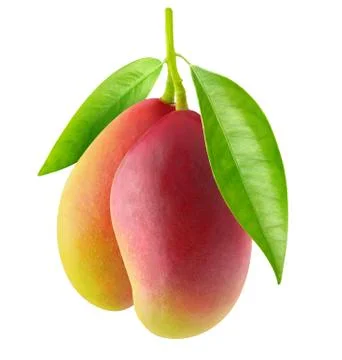Two red mango Foto stock
