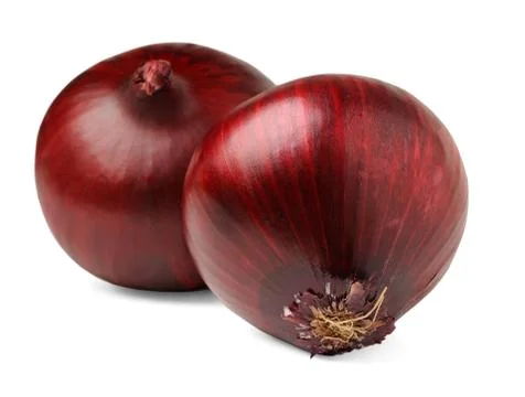 Two red onions Stock Photos