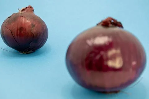Two red onions sit on a blue surface, ready to add flavor to a dish. Stock Photos