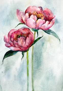 Two red peonies Stock Illustration