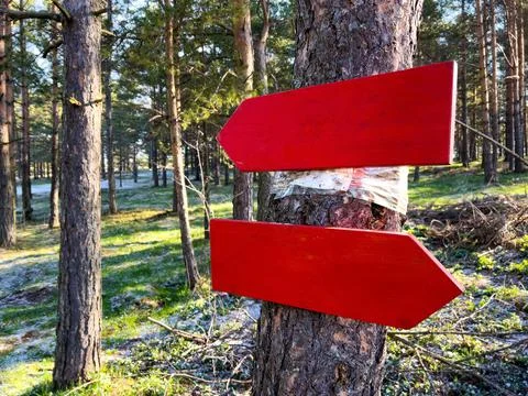 Two red pointer arrows on a tree Stock Photos