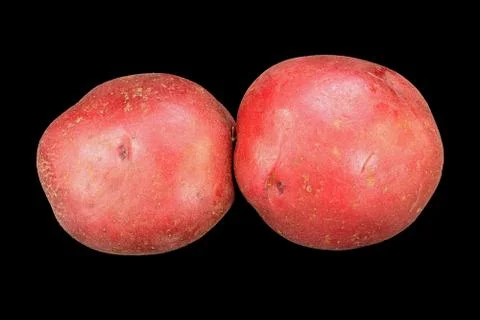 Two red potatoes Stock Photos