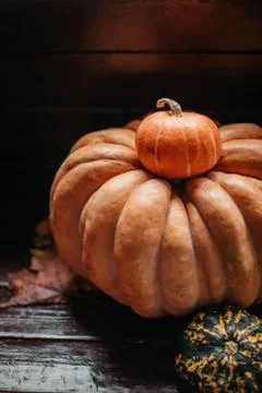 Two red pumpkins - small un the big one in dark place. Stock Photos