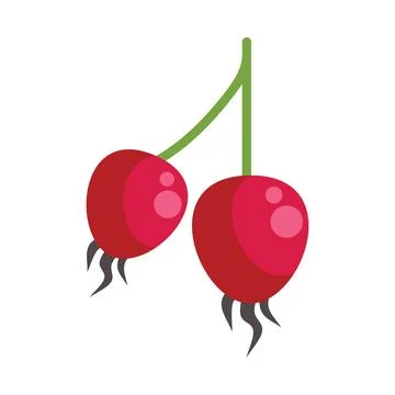 Two red rose hips hanging from green stem illustration Stock Illustration