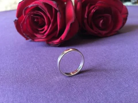 Two red roses with engagement ring on purple background Stock Photos